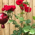 Tinyhouse Schneeweisschen & Rosenrot Σπίτι διακοπών Mauerbach