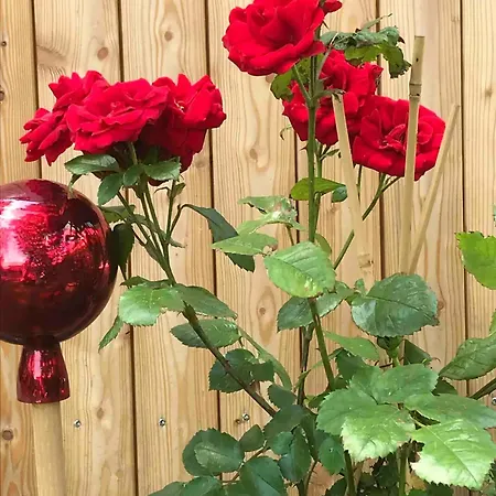 Tinyhouse Schneeweisschen & Rosenrot Σπίτι διακοπών Mauerbach