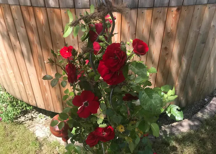 Nyaraló Tinyhouse Schneeweisschen & Rosenrot