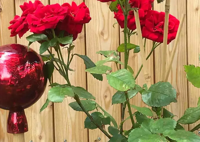 Tinyhouse Schneeweisschen & Rosenrot Nyaraló Mauerbach